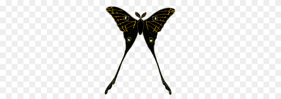 Animal Butterfly, Insect, Invertebrate, Moth Free Png Download