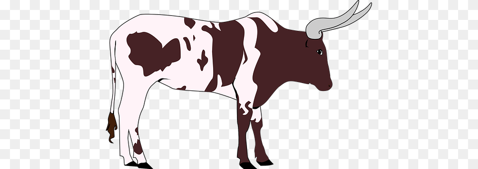 Animal Cattle, Livestock, Mammal, Cow Png Image