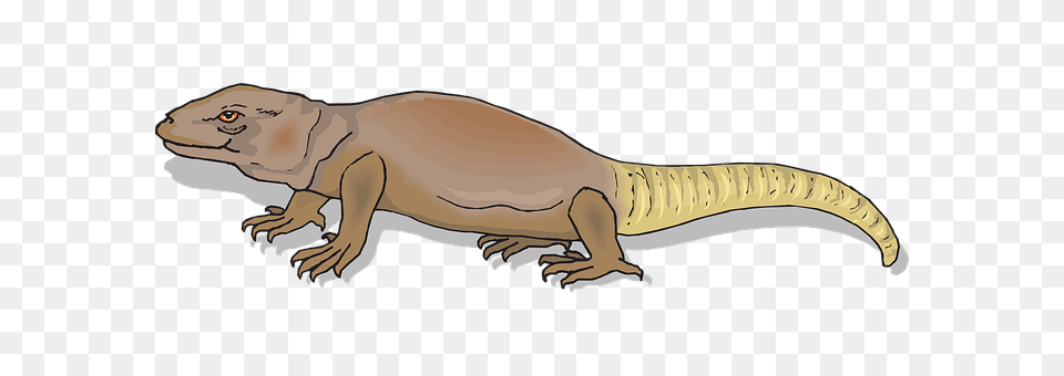 Animal Dinosaur, Reptile, T-rex Png Image