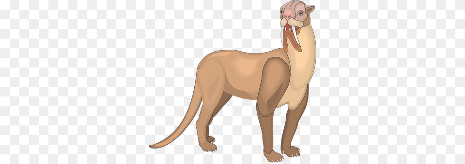 Animal Mammal, Wildlife Free Png Download
