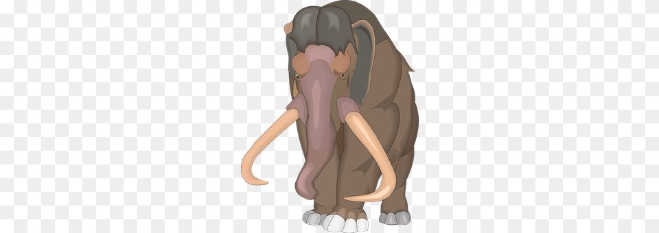 Animal Elephant, Mammal, Wildlife Png