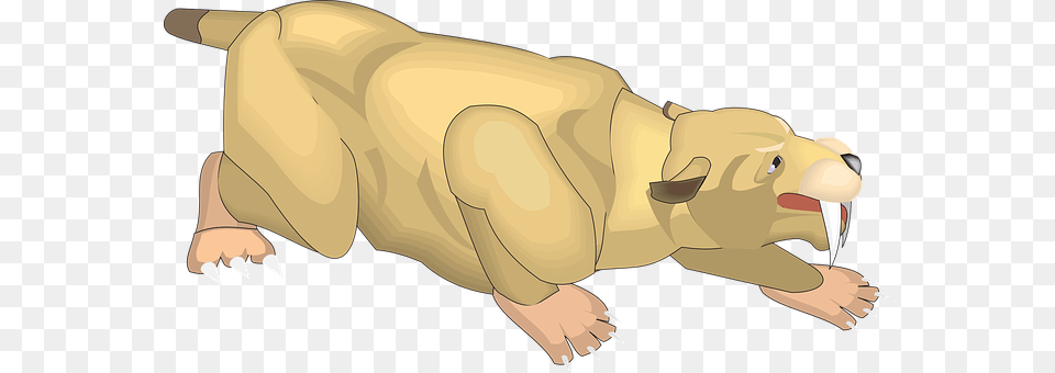 Animal Mammal, Person, Mole Png