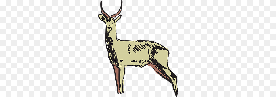 Animal Deer, Mammal, Wildlife, Elk Png