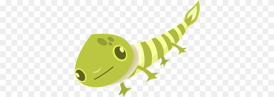 Animal Gecko, Lizard, Reptile, Green Lizard Free Png Download