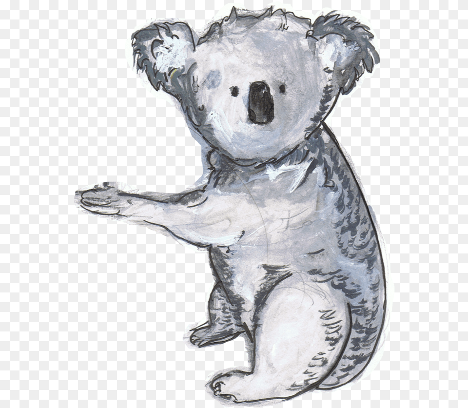 Animal Alphabet Adventure Pt2 U2014 Melaina Chapman Koala, Person, Mammal, Wildlife, Face Free Png Download