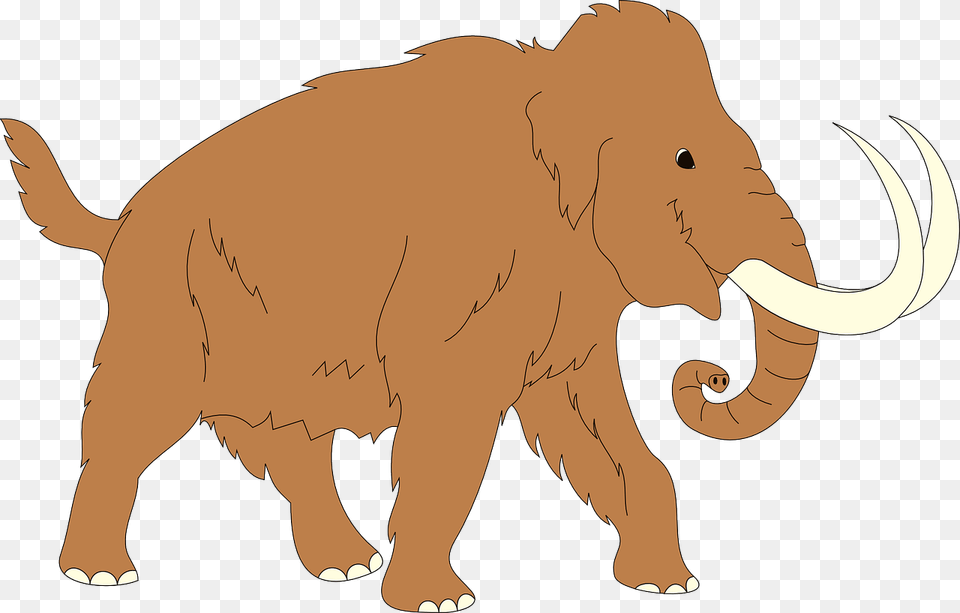 Animal Ancient Mammoth Trunk Fur Tusks Elephant Mammoth Clipart, Mammal, Wildlife, Bear Png