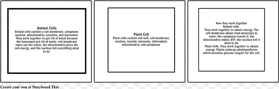 Animal And Plant Cells Document, Page, Text, Book, Publication Free Png