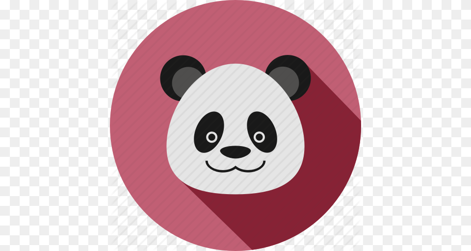 Animal Animals Bamboo Bear Cc Cute Panda Icon, Disk Png Image