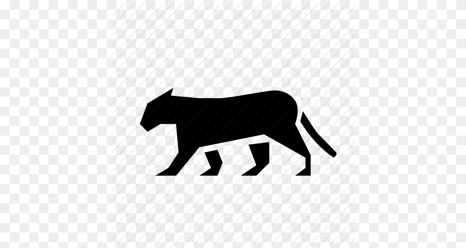 Animal Animals Cat Puma Wild Icon, Bull, Mammal, Cattle, Livestock Png Image