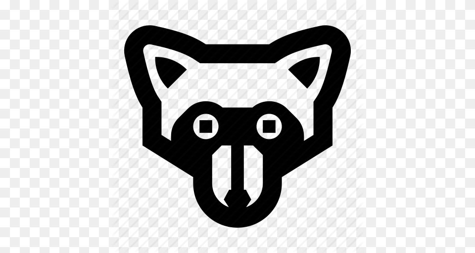 Animal Animals Face Raccoon Zoo Icon Png Image