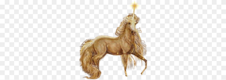 Animal Animals Unicorn Unicorns Horse Gold Unicorn, Mammal, Colt Horse, Person, Stallion Free Png Download