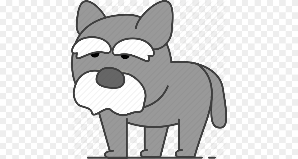 Animal Animals Wolf Icon Free Png Download