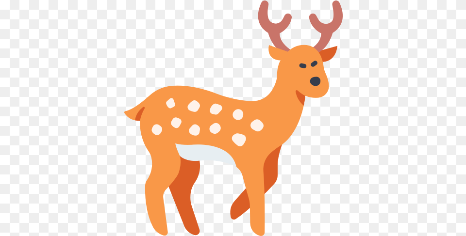 Animal Antler Deer Forest Nature Wild Wildlife Icon Naturaleza Animales, Mammal, Bear, Elk Png Image