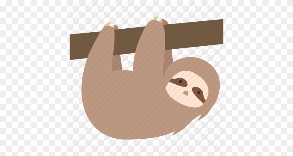 Animal Arboreal Lazy Sloth Slow Strange Weird Icon, Mammal, Wildlife, Three-toed Sloth Png Image