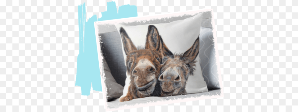 Animal Art By Law Relax, Donkey, Mammal, Cat, Pet Png Image