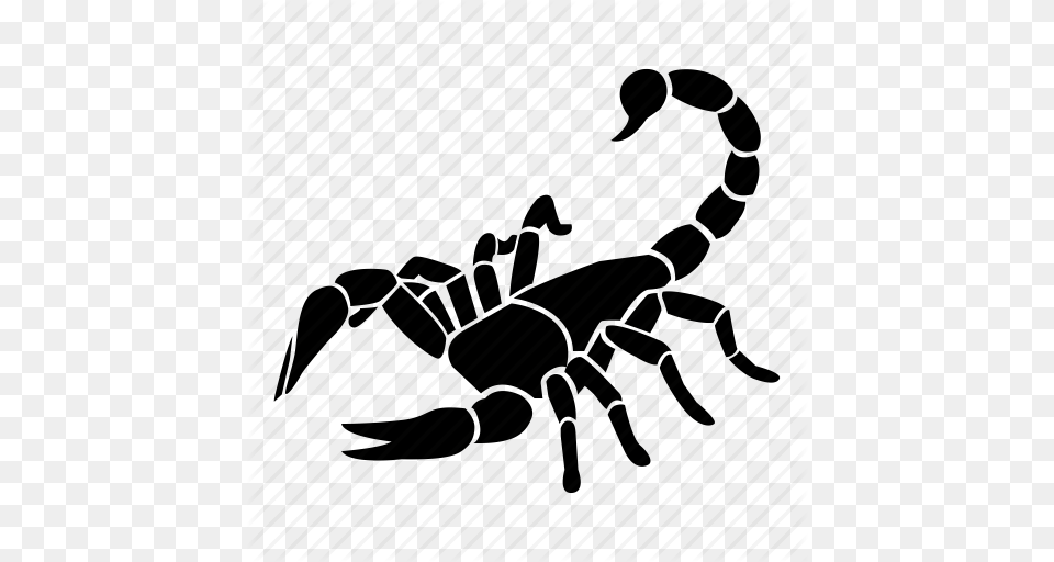 Animal Astrology Horoscope Scorpio Scorpion Star Zodiac Icon, Invertebrate Png