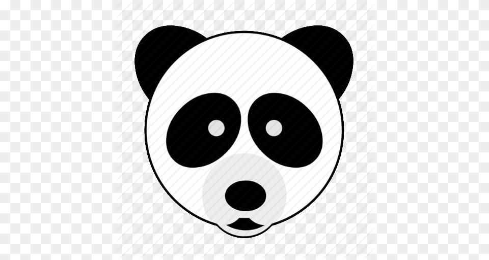 Animal Bamboo Bear Face Happy Panda Zoo Icon, Snout, Disk Free Png Download