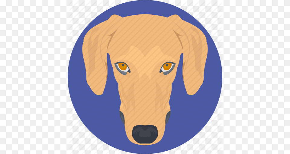 Animal Basset Hound Dog Dog Face Dog Head Icon, Person, Mammal, Pet, Canine Png