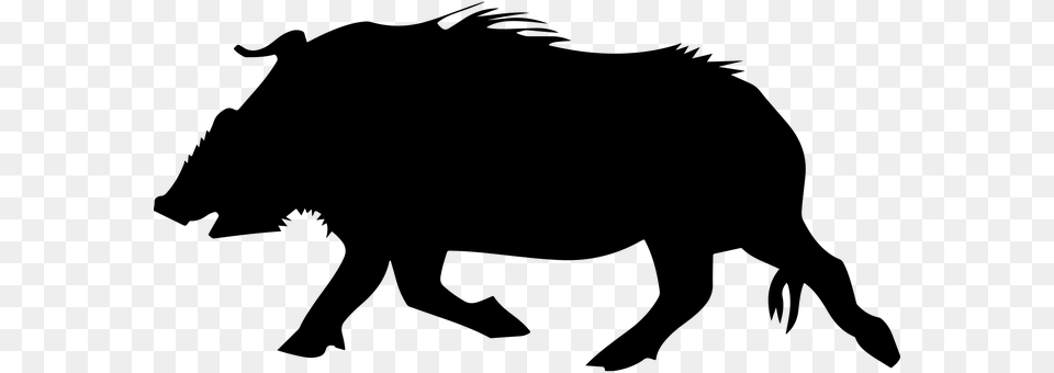 Animal Beast Boar Pig Silhouette Wild Wild Wild Boar Silhouette, Gray Png Image