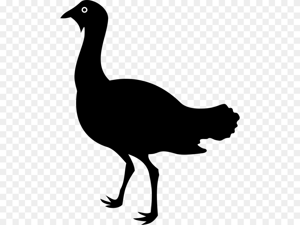 Animal Bird Bustard England Silhouette Uk Bustard Silhouette, Gray Png