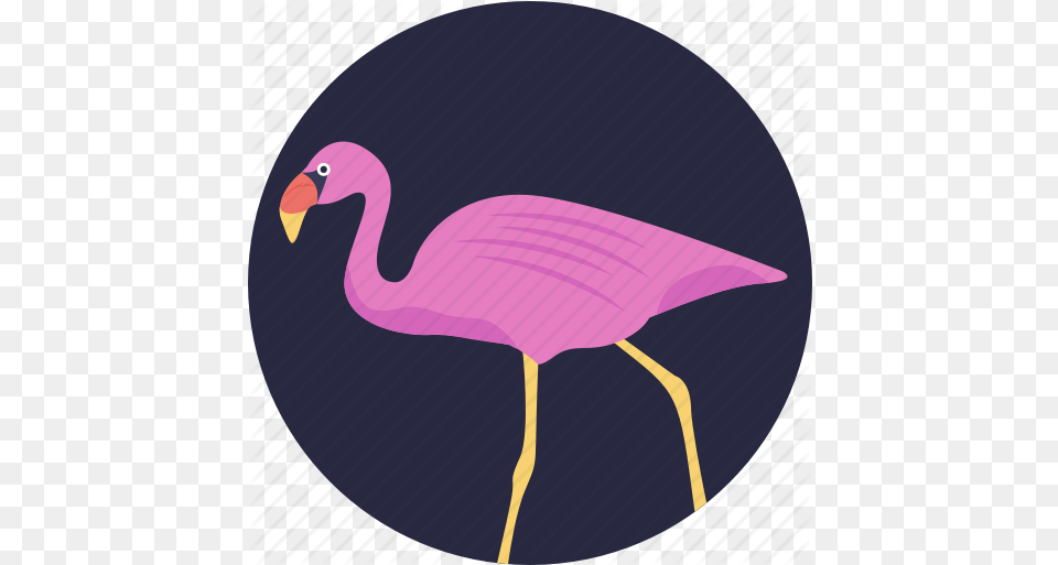 Animal Bird Crane Flamingo Gruidae Icon Download On Iconfinder Soft, Waterfowl Png