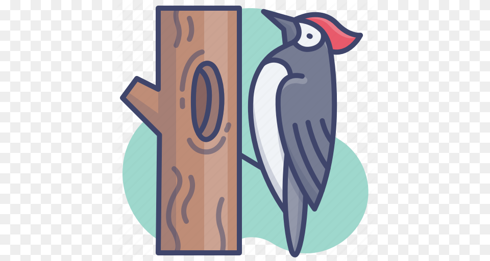 Animal Bird Pecker Woodpecker Icon Songbirds Free Transparent Png
