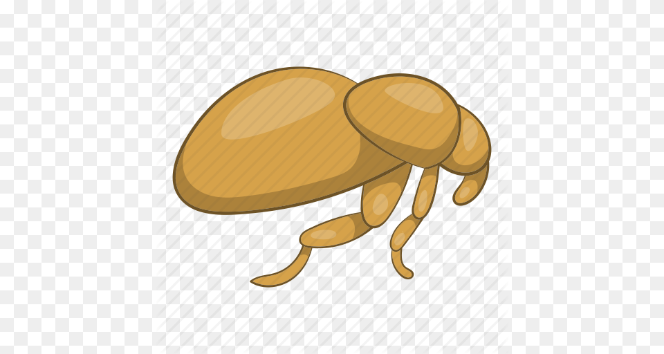 Animal Bite Cartoon Flea Insect Parasite Pest Icon Free Png