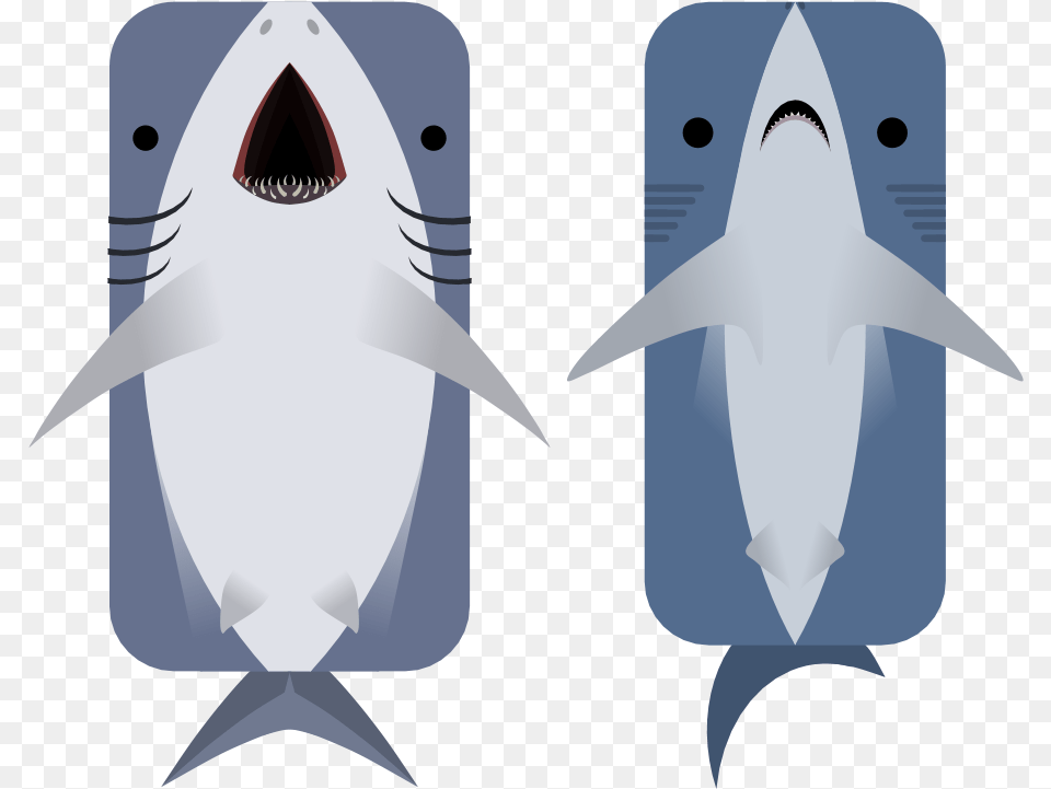 Animal Blue Shark, Sea Life, Fish Free Transparent Png