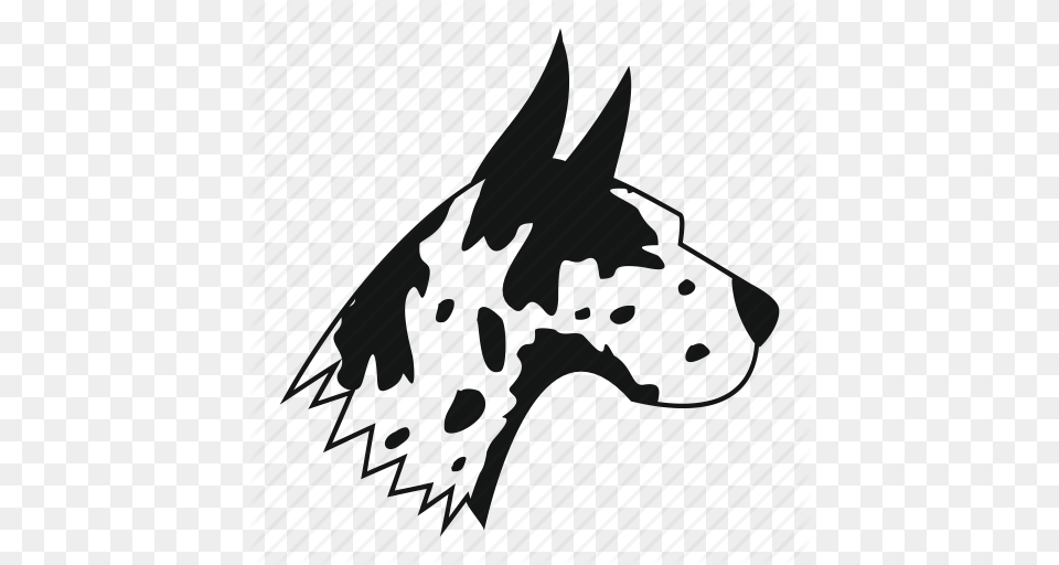 Animal Breed Canine Dane Dog Great Pet Icon, Leaf, Plant, Silhouette Png