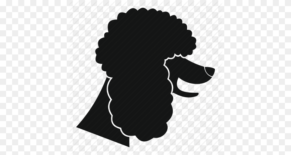 Animal Breed Canine Dog Friend Pet Poodle Icon, Silhouette, Mammal, Accessories, Formal Wear Png