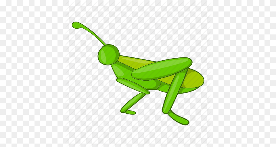 Animal Bug Cartoon Grasshopper Insect Locust Nature Icon, Invertebrate, Smoke Pipe Png