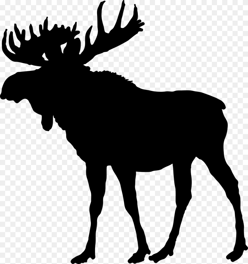 Animal Canada Horns Picture Moose Silhouette, Gray Free Png Download
