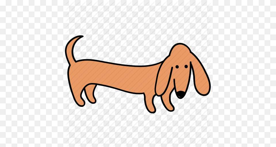 Animal Canine Dachshund Dog Look Pet Stand Icon, Body Part, Finger, Hand, Person Free Transparent Png