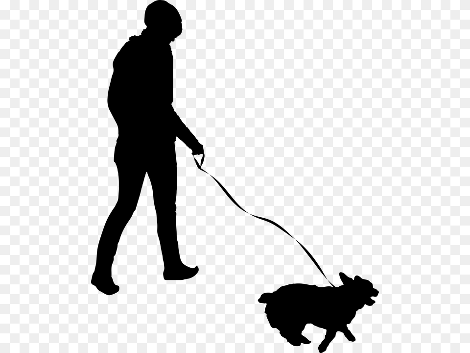 Animal Canine Dog Female Girl Human Leash People, Gray Free Png Download