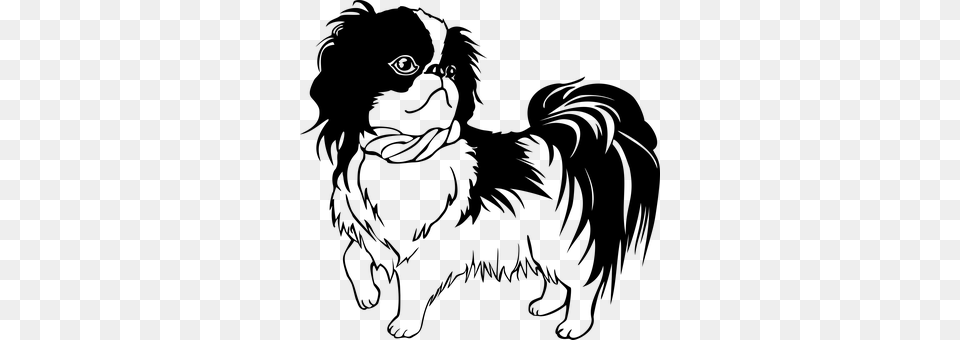 Animal Canine Dog Japanese Chin Pet Dog Do Shih Tzu Line Art, Gray Png Image