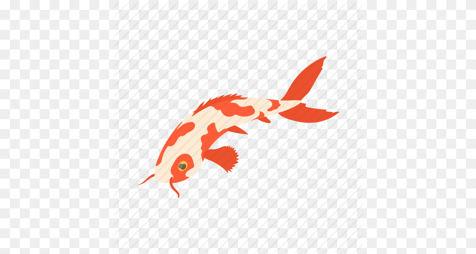 Animal Carp Cartoon Koi Seafood Underwater Water Icon, Sea Life, Fish, Shark Free Transparent Png