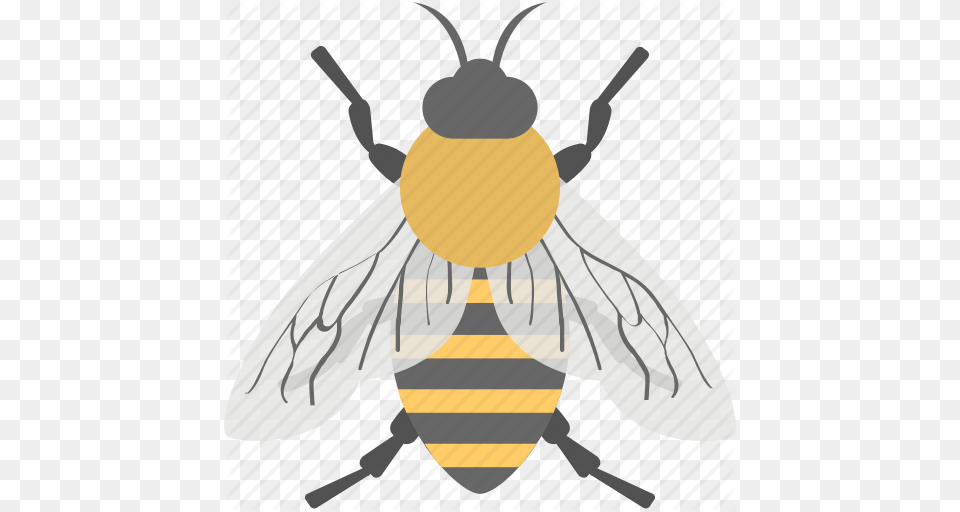 Animal Cartoon Bee Honey Bee Insect Worker Bee Icon, Honey Bee, Invertebrate, Person, Wasp Png Image