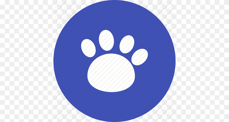 Animal Cat Cute Dog Paw Pet Walk Icon Png