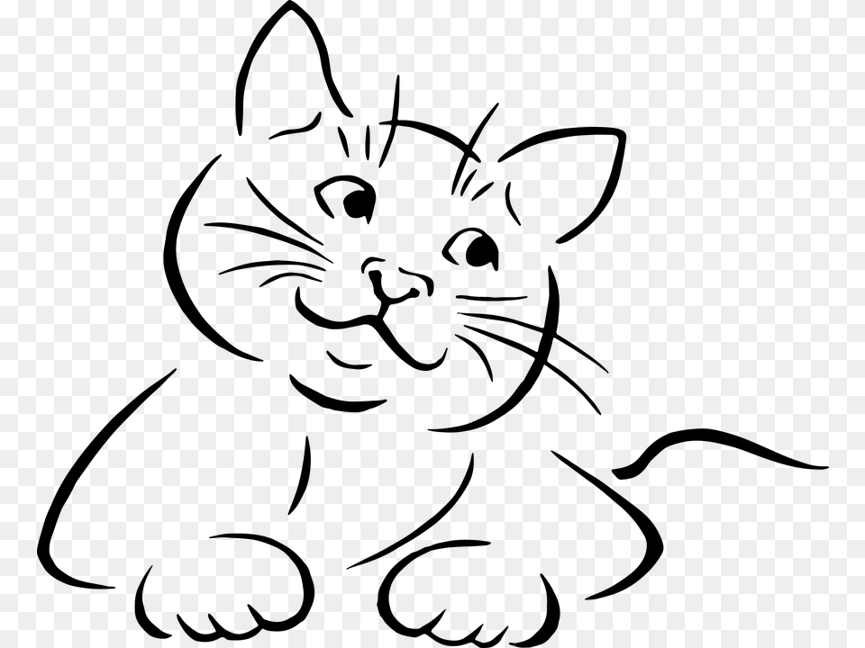Animal Cat Drawing Feline Kitten Kittie Sketch Line Art Cat Vector, Gray Free Png Download