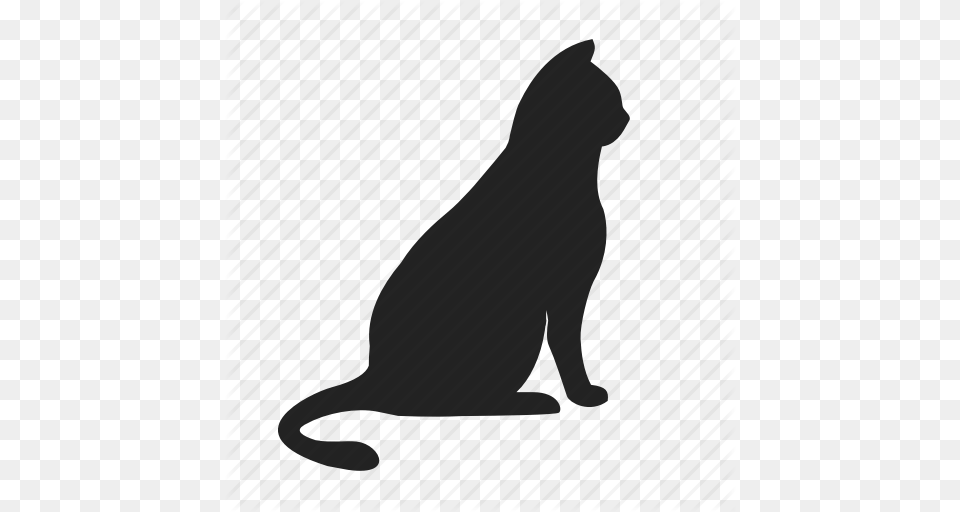 Animal Cat Icon, Mammal, Pet Free Png