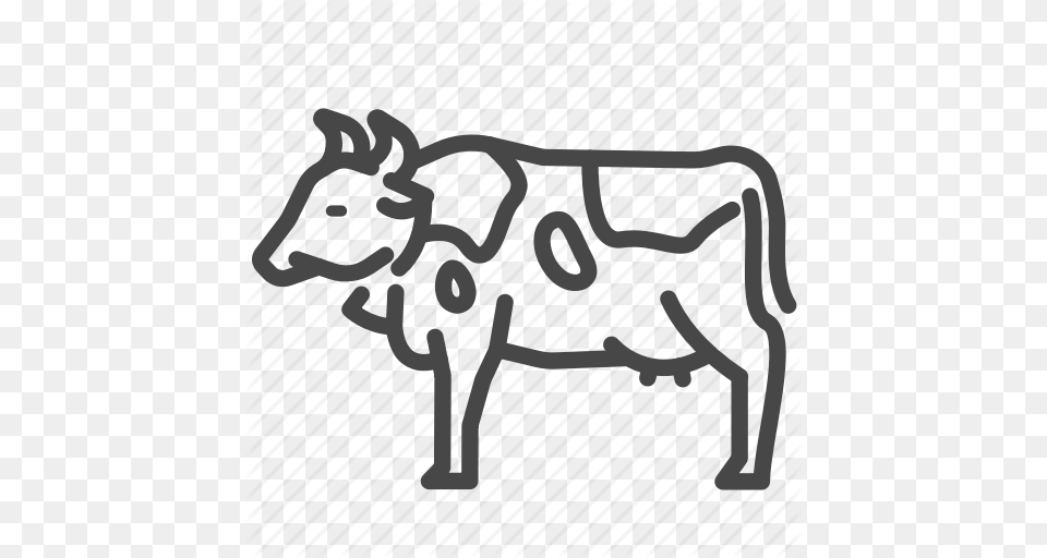 Animal Cattle Cow Dairy Milk Icon, Livestock, Mammal, Text Free Png