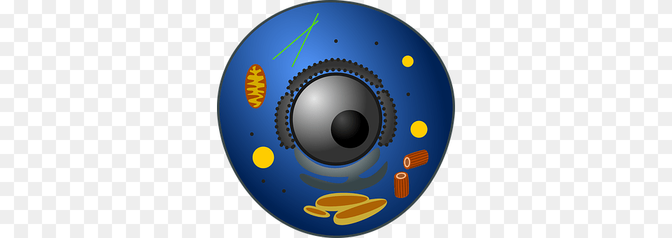 Animal Cell Disk, Dvd Free Png Download