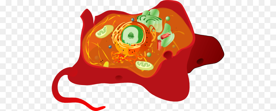 Animal Cell Clip Art, Food, Ketchup, Sweets Free Png