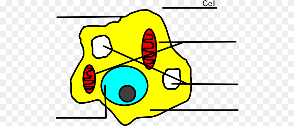 Animal Cell Clip Art Animal Cell Easy Drawing Png Image