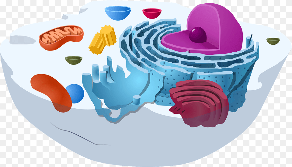 Animal Cell Clipart, Ice, Outdoors, Nature, Birthday Cake Free Png