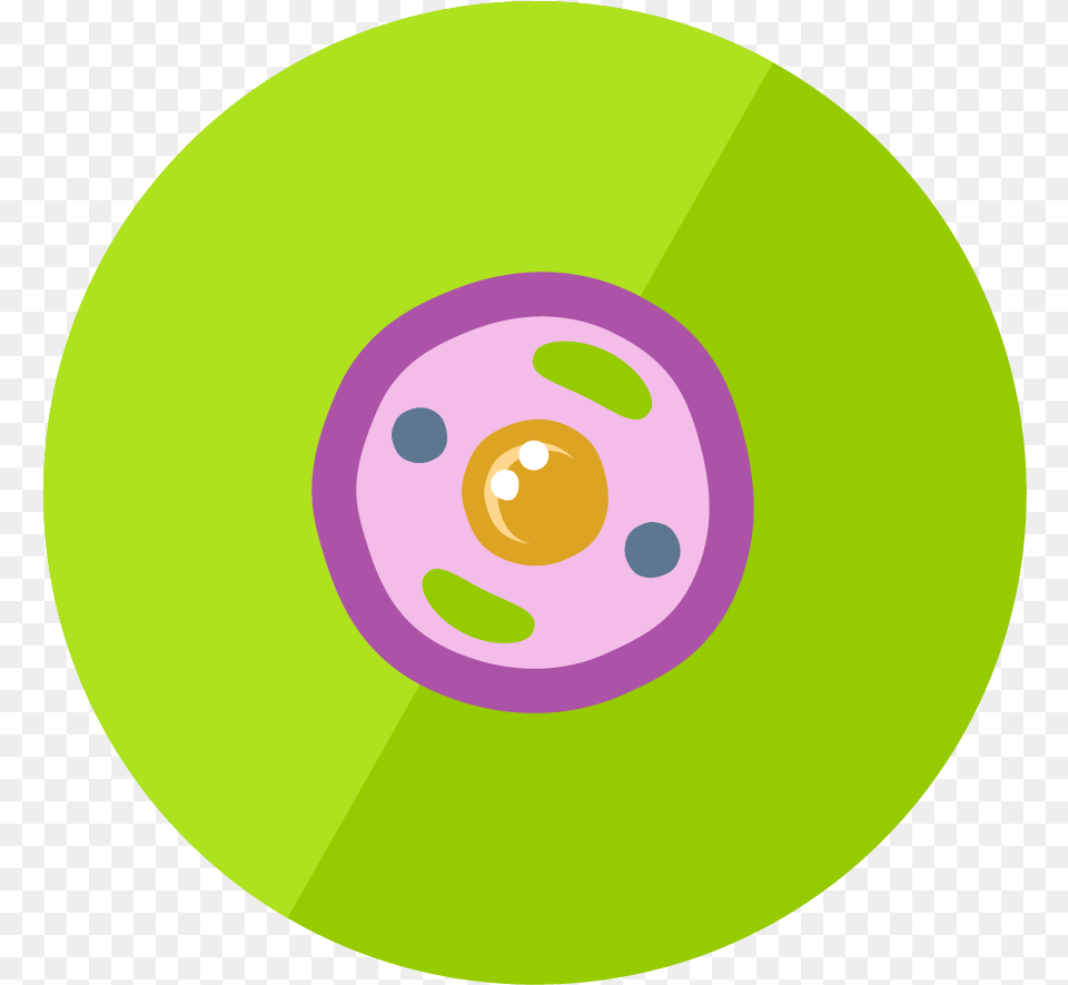 Animal Cell Icon Clipart Animal Cell Icon, Disk, Dvd Free Png Download