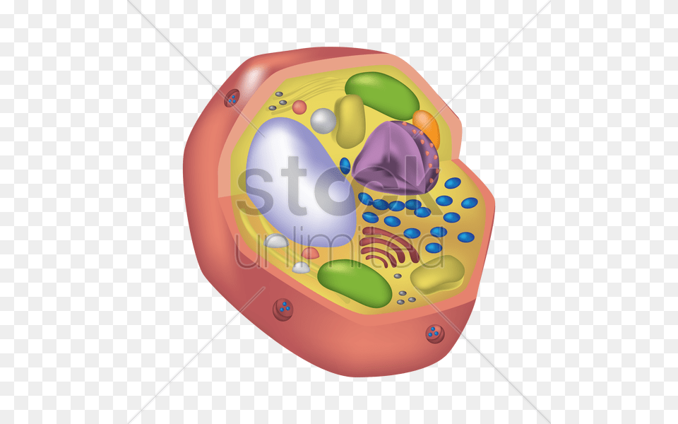 Animal Cell V, Electronics Free Png