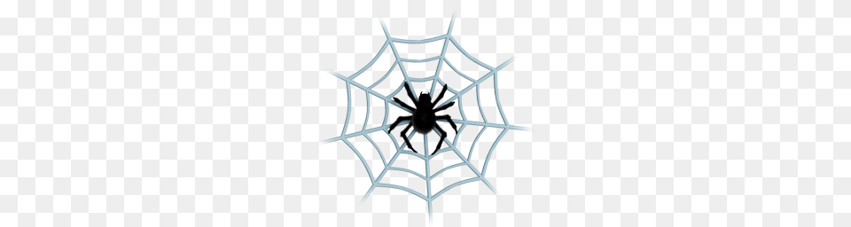 Animal Center Clue Cobweb Communication Connection Danger, Chandelier, Lamp, Spider Web Png Image