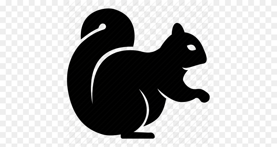 Animal Chipmunk Forest Mammal Possum Squirrel Woodland Icon, Cat, Pet Free Png