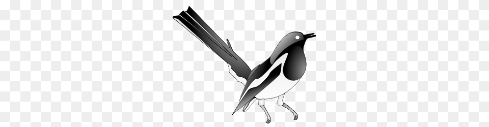 Animal Clip Arts, Bird, Magpie, Appliance, Ceiling Fan Free Transparent Png